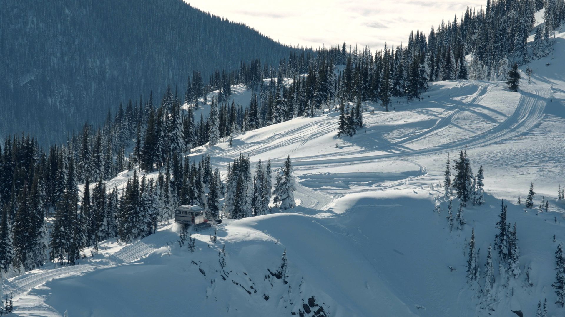 Cat Skiing